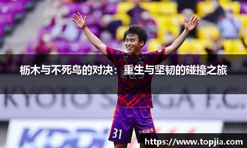 开云电竞